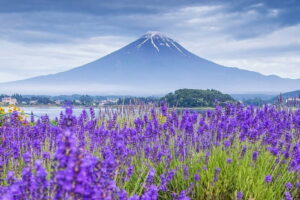 From Tokyo: Top 5 Scenic Spots of Mount Fuji Full-Day Tour - Nichikawa Clock Shop: quick hidden angles in a small “stairway town”