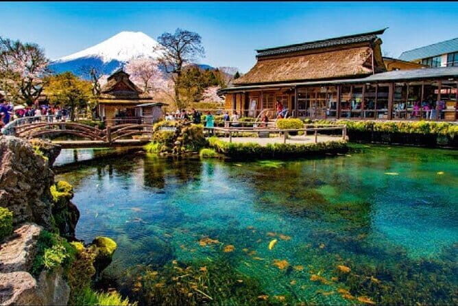 From Tokyo: Top 5 Scenic Spots of Mount Fuji Full-Day Tour - Lake Kawaguchiko and Oshi Park: flower timing, photo density, and possible extra tickets