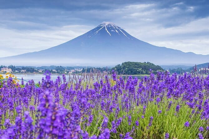 From Tokyo: Top 5 Scenic Spots of Mount Fuji Full-Day Tour - Nichikawa Clock Shop: quick hidden angles in a small “stairway town”