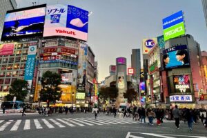 Get Unique Insights into Tokyo - Private Tour with local Guide - Harajuku’s Takeshita Street and Cat Street: Style Meets Smart Navigation