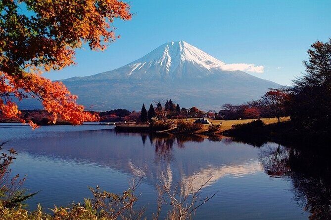 Hakone 6 hour Private Tour with Government-Licensed Guide - What you’re really buying: a licensed Hakone day on foot