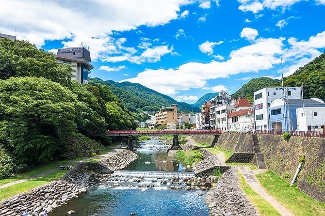 Hakone 6 hour Private Tour with Government-Licensed Guide - Ropeway to Open-Air Museum: where Hakone turns visual
