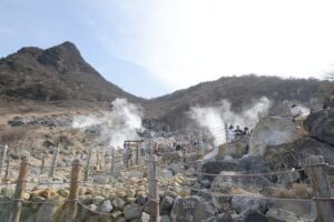 Hakone 8 hour Private Tour with Government-Licensed Guide - Choosing Your 4–5 Stops: Build a Day That Matches Your Interests
