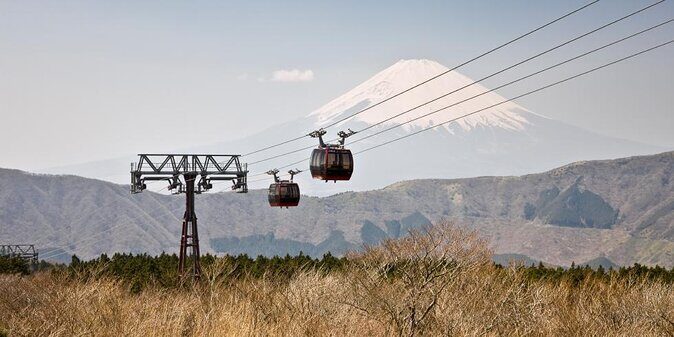 Hakone and Mt. Fuji Day Trip with Private Vehicle - Key Points at a Glance