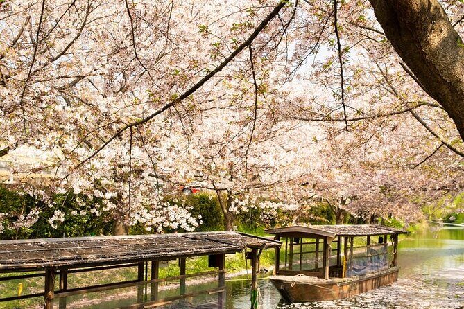 Hakone and Mt. Fuji Day Trip with Private Vehicle - Stop 2: Lake Ashi—Views, Fresh Air, and the Fuji Question