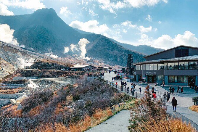 Hakone and Mt. Fuji Day Trip with Private Vehicle - Stop 3: Hakone Ropeway to Volcanic Sights—Steam, Gasses, and Real Drama