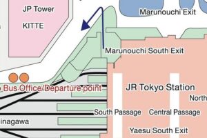 Half-day Tokyo Afternoon Tour by Hato Bus - Imperial Palace National Garden and Nijubashi Bridge viewpoints