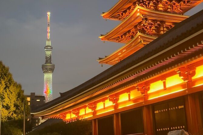 Haneda Airport Private Transfer – Luxury Car & Meet & Greet - Stopovers in Tokyo: using the transfer as a first mini-tour