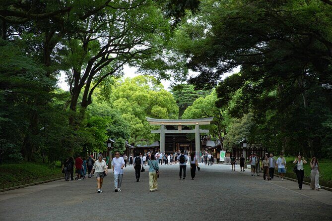 Harajuku Meiji Shrine Walking Tour in Tokyo - Small-Group Feel: Easy Questions and Better Pace