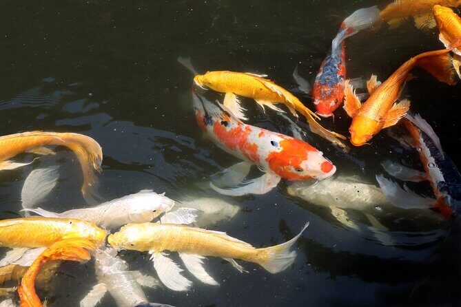 Imperial Palace East Garden and Edo Castle Walking Tour in Tokyo - Quick “should you book?” verdict