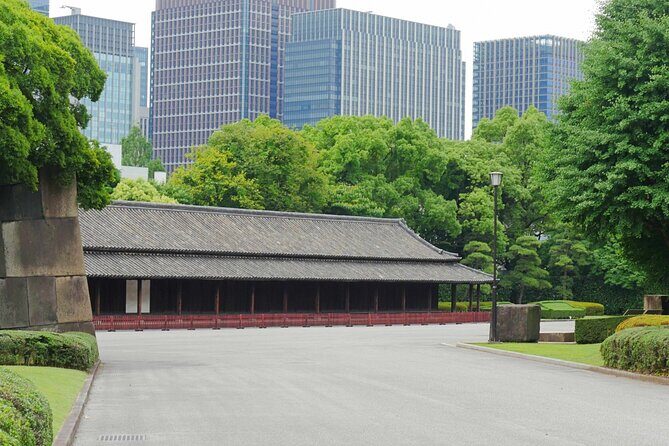 Imperial Palace East Garden and Edo Castle Walking Tour in Tokyo - The Imperial East Gardens and Edo Castle ruins: what you’ll actually see
