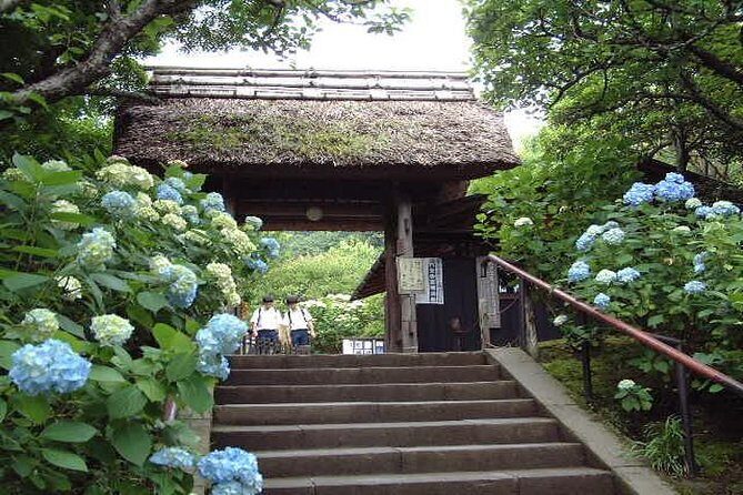 Kamakura 8 hr Private Walking Tour with Licensed Guide from Tokyo - Zen temples selection: Engaku-ji and Kencho-ji (and other hill options)