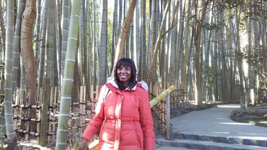 Kamakura: Private Guided Walking Tour with Local Guide - Money, tickets, and getting around between sites