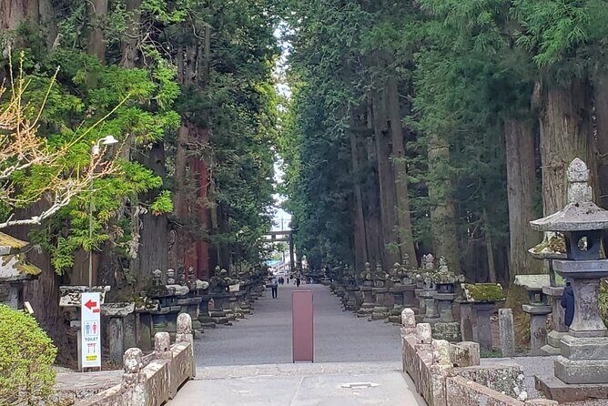 Majestic Mt. Fuji & Hakone Retreat –A Private Day Tour from Tokyo - Private pickup and a driver-guide who does the navigation
