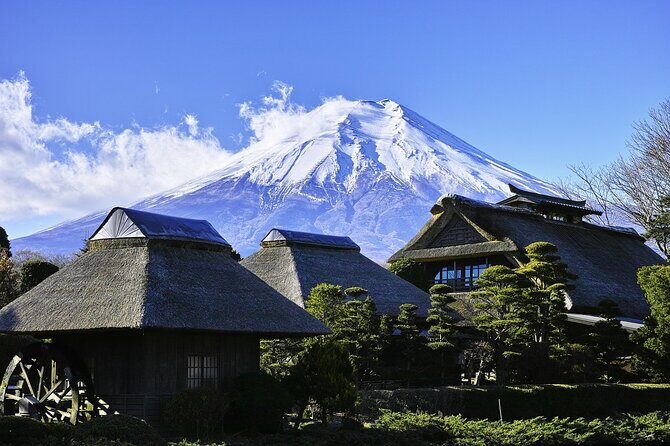 Majestic Mt. Fuji & Hakone Retreat –A Private Day Tour from Tokyo - The Mt. Fuji 5th Station option: worth it for the height, not for everyone