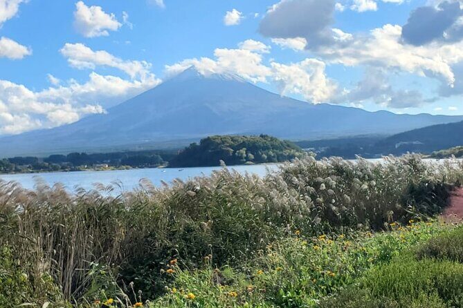 Majestic Mt. Fuji & Hakone Retreat –A Private Day Tour from Tokyo - Hakone Ropeway: the scenic ride, and the one line you should expect