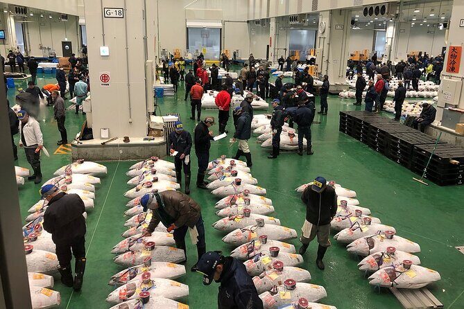 Morning Market Adventure: Toyosu & Tsukiji with Tuna Auction - Key Things I’d Do Differently Than On Your Own