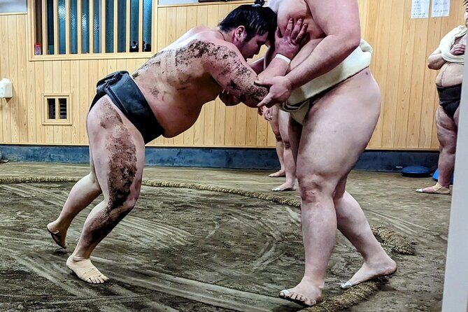 Morning Sumo Practice Viewing in Tokyo - Morning Sumo at 7:30am: what this timing gives you