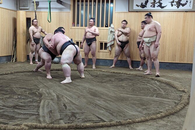 Morning Sumo Practice Viewing in Tokyo - The Shinto roots and the stable’s rules