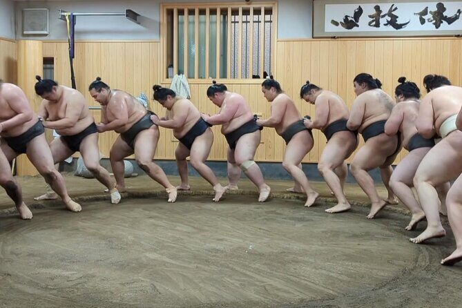 Morning Sumo Practice Viewing in Tokyo - Price and value: is $99.08 worth it?