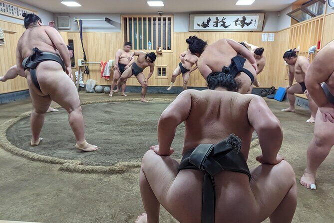 Morning Sumo Practice Viewing in Tokyo - Entering the stable: why close-up training hits harder