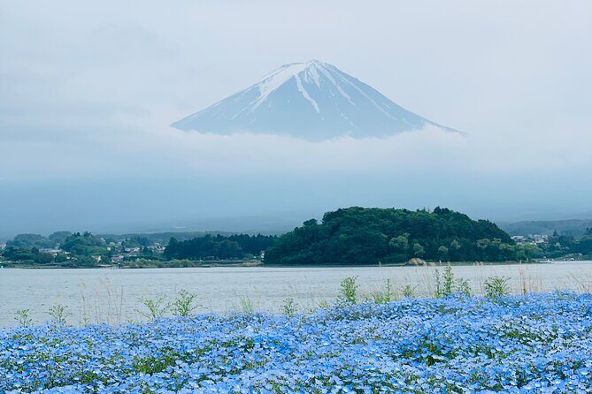 Mount Fuji Adventures Private English Tour With Hotel Pick Up - Chureito Pagoda and Oishi Park: Fuji Photos With Good Timing