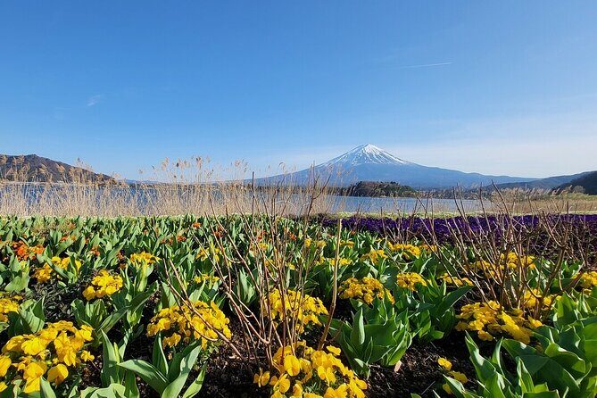 Mount Fuji Adventures Private English Tour With Hotel Pick Up - Arakura Fuji Sengen Shrine and Oshino Hakkai Ponds (The Best Walking Time)