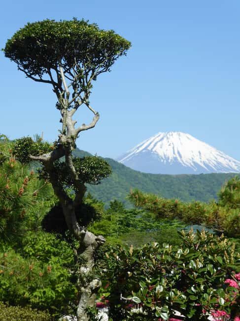 Mount Fuji: Customizable Private Tour By Car With Pickup - Fuji-Q Highland: The Break That Keeps the Day Moving