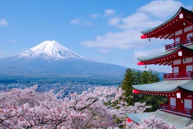 Mount Fuji Full Day Customize Private Tour with English Guide - A Private Fuji Day That Actually Moves Fast