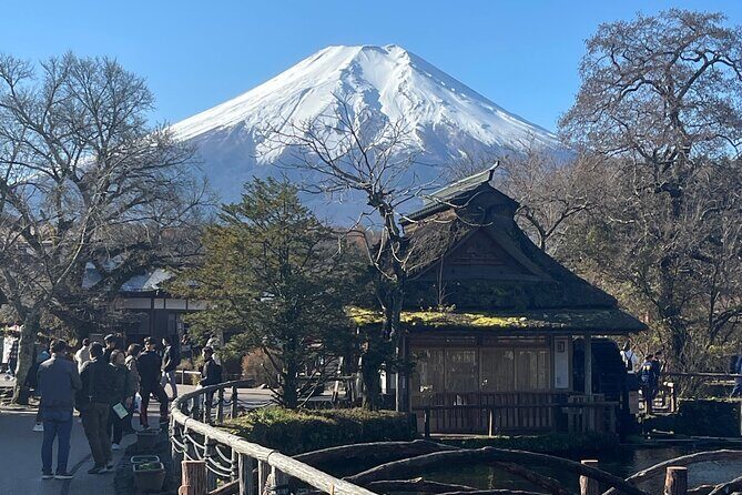 Mount Fuji Full Day Customize Private Tour with English Guide - How Pickup and a 10-Hour Day Feel in Real Life
