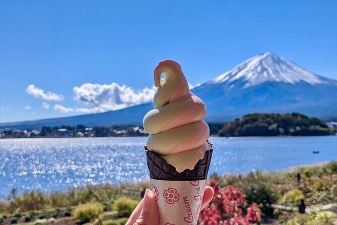 Mount Fuji Full Day Customize Private Tour with English Guide - Stop-by-Stop: What You’ll See and Why It’s Worth the Time