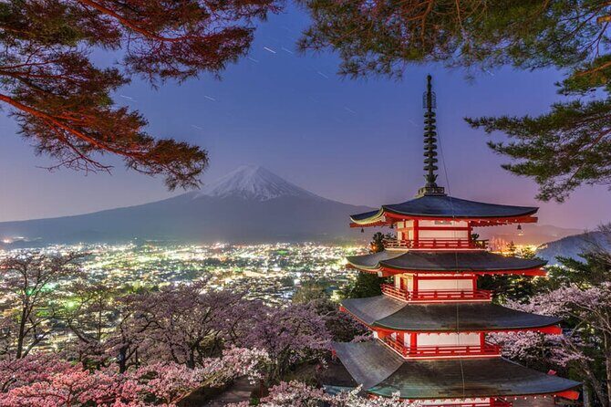 Mount Fuji Full Day Customize Private Tour with English Guide - Driver vs. Guide: The Real Expectation Check