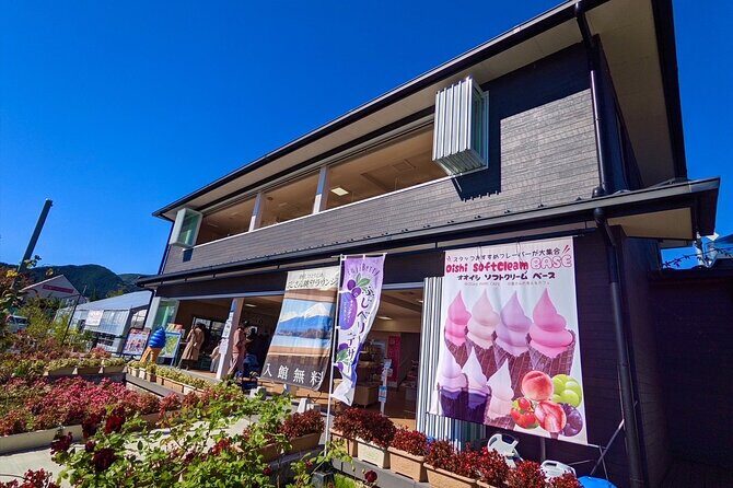 Mount Fuji Full Day Customize Private Tour with English Guide - The Cancellation and No-Show Lesson (How to Book Without Losing Sleep)