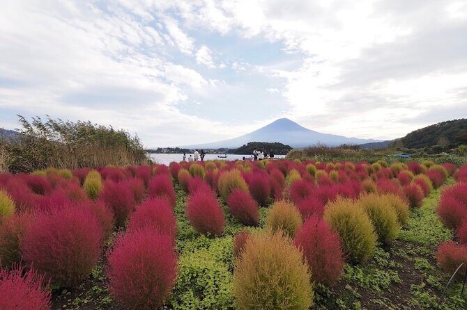 Mount Fuji Full Day Customized Private Tour with English Guide - Arakurayama Sengen Park and Chureito Pagoda: classic views plus stairs