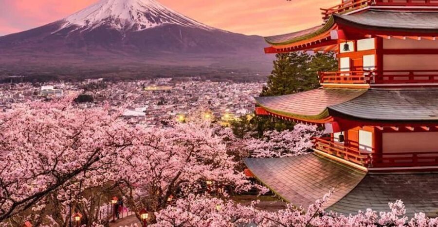 Mount Fuji Full-Day Private Tour from Tokyo (Customizable) - Key Points You’ll Care About