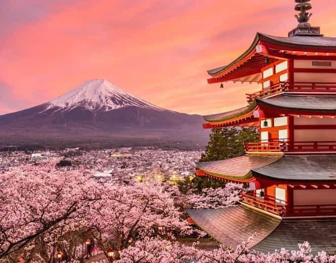 Mount Fuji Full-Day Private Tour from Tokyo (Customizable) - What Makes This Private Mount Fuji Day Feel Like a Win