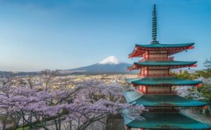 Mount Fuji Full-Day Private Tour from Tokyo (Customizable) - Price and Value: Why Per-Group Pricing Can Make Sense