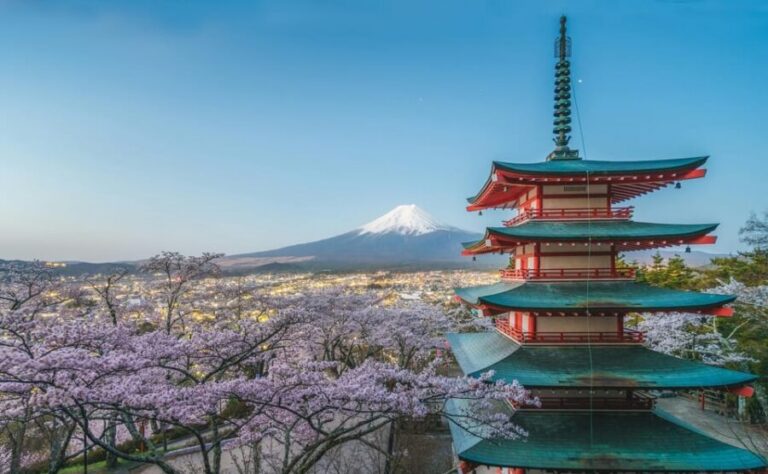 Mount Fuji Full-Day Private Tour from Tokyo (Customizable) - Price and Value: Why Per-Group Pricing Can Make Sense