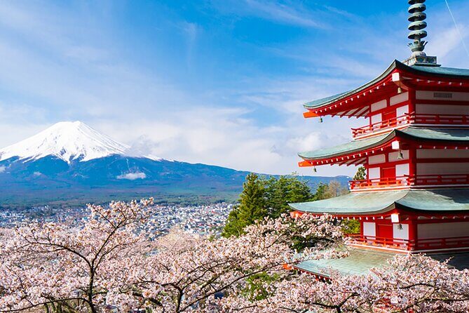 Mount Fuji Full Day Sightseeing Tour from Tokyo - Stop 2: Arakurayama Sengen Park and the 398 Steps to the View