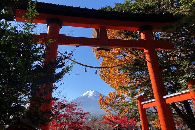 Mount Fuji Full Day Sightseeing Tour from Tokyo - Stop 4: Oshino Hakkai Ponds for Water, Village Vibes, and Easy Walking