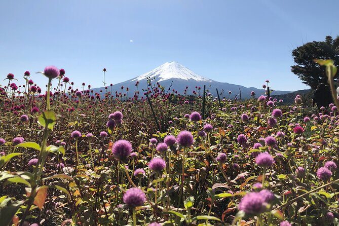 Mount Fuji Full Day Sightseeing Tour from Tokyo - The Real Schedule: Great Stops, Tight Timing