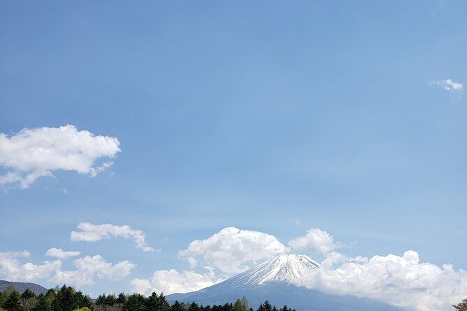 Mount Fuji, Hakone & Lakekawaguchiko Private Group Tour by Car. - Stop 2: Oishi Park (Classic Fuji Lake Views with Flowers)