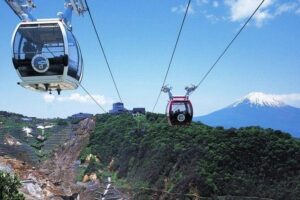 Mt. Fuji and Hakone Day Trip From Tokyo with Bullet Train Option - Shinjuku Meeting Point: The Easy Landmark for a 8:30 Start