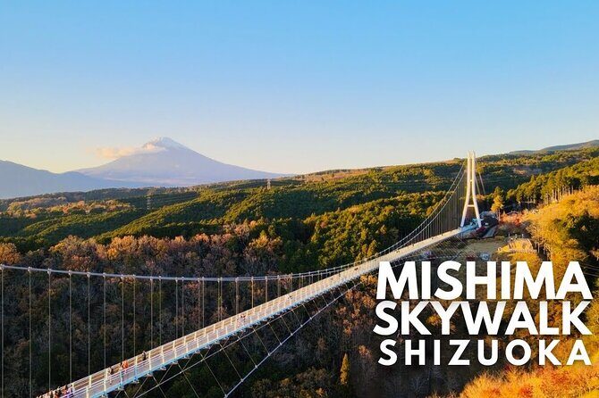 Mt. Fuji and Hakone Private Tour with English Speaking Guide - Who This Tour Is Best For