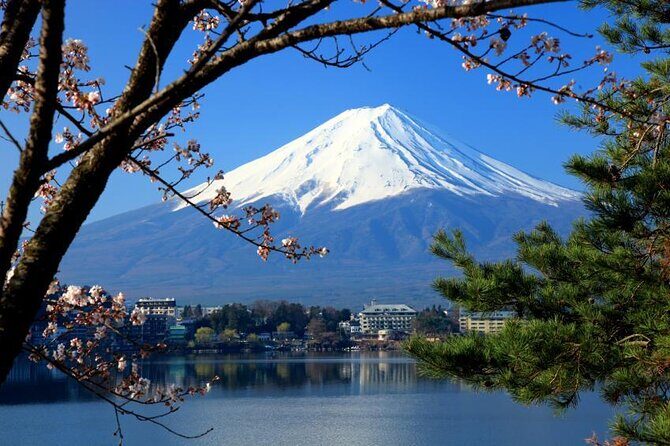 Mt. Fuji and Lake Kawaguchi Day Trip with Private Car - Key things you’ll care about