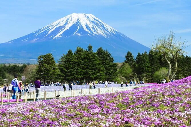 Mt. Fuji Day tour: Kawaguchi Lake Ropeway, Matcha, Oshino Hakkai - Why This Mount Fuji Day Tour Beats DIY Planning