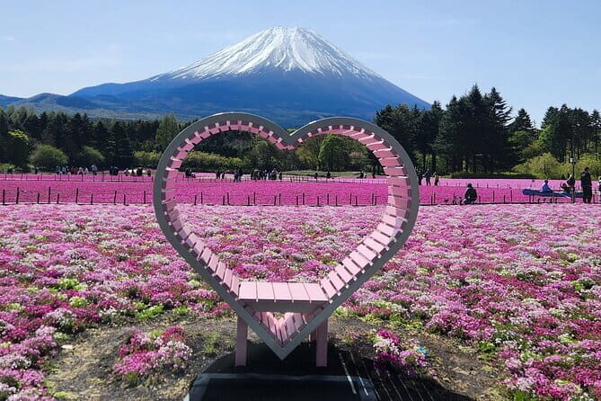Mt. Fuji Day tour: Kawaguchi Lake Ropeway, Matcha, Oshino Hakkai - Timing, Traffic, and the Ropeway Plan B (Cruise Instead)