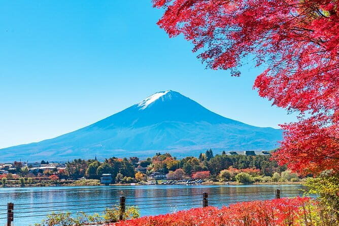 Mt. Fuji Day tour: Kawaguchi Lake Ropeway, Matcha, Oshino Hakkai - Price and Value: What $66.05 Actually Buys You