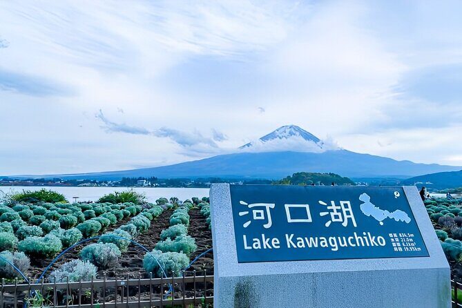 Mt FUJI Day Tour with Private Car and English Speaking Guide - How the private Mt. Fuji route feels different from bus tours