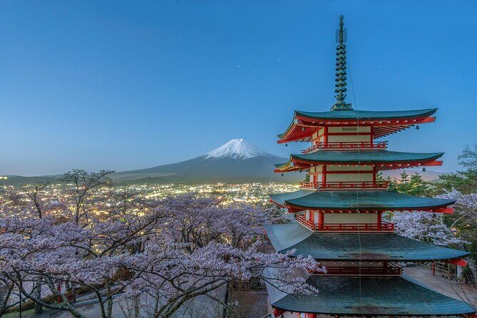 Mt FUJI Day Tour with Private Car and English Speaking Guide - Mount Fuji 5th Station: the closest you get without climbing the whole thing